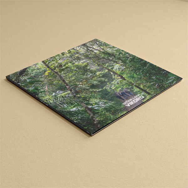 Señor Loop - Vikorg (Vinyl PRE-ORDER: Phase 2)