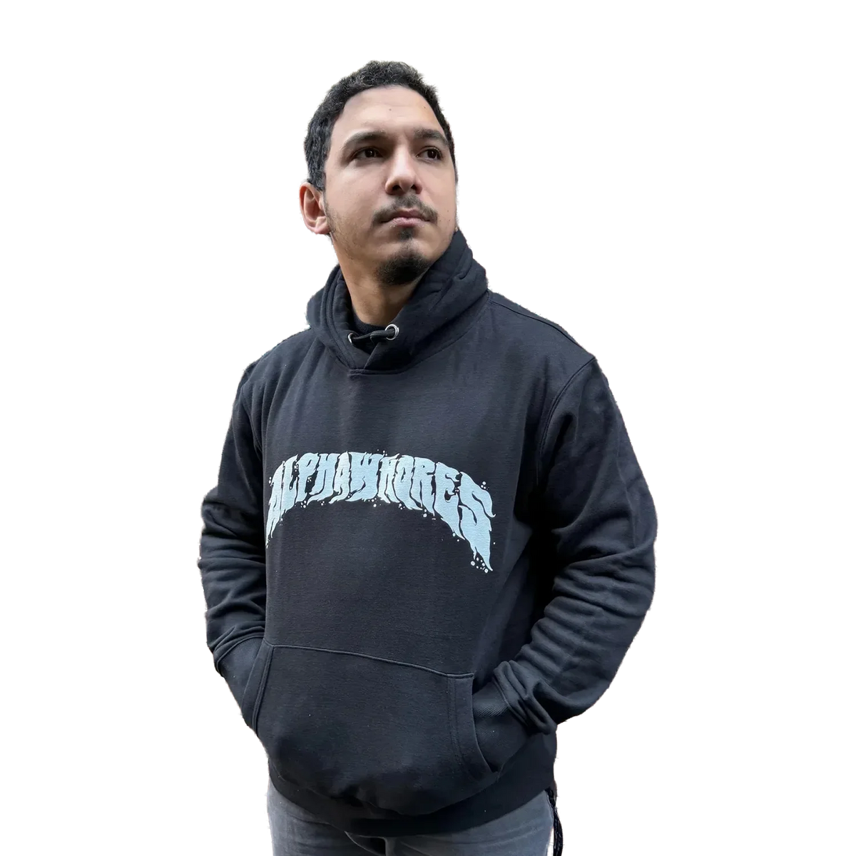 alphawhores-logo-hoodie